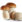 Boletus